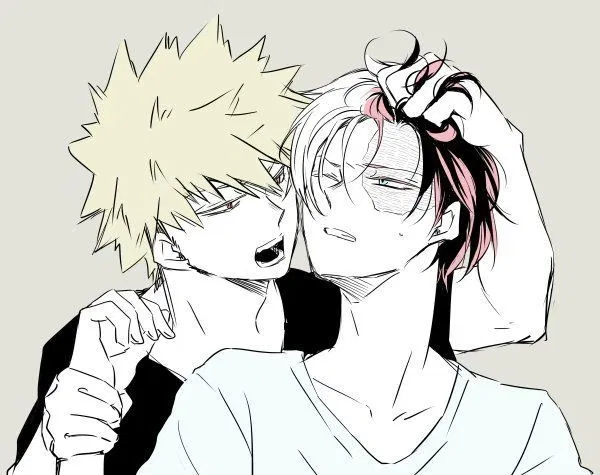 Avatar of Quirk Marriage Shoto & Katsuki