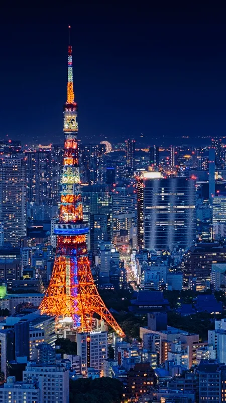 Avatar of JAPAN🇯🇵