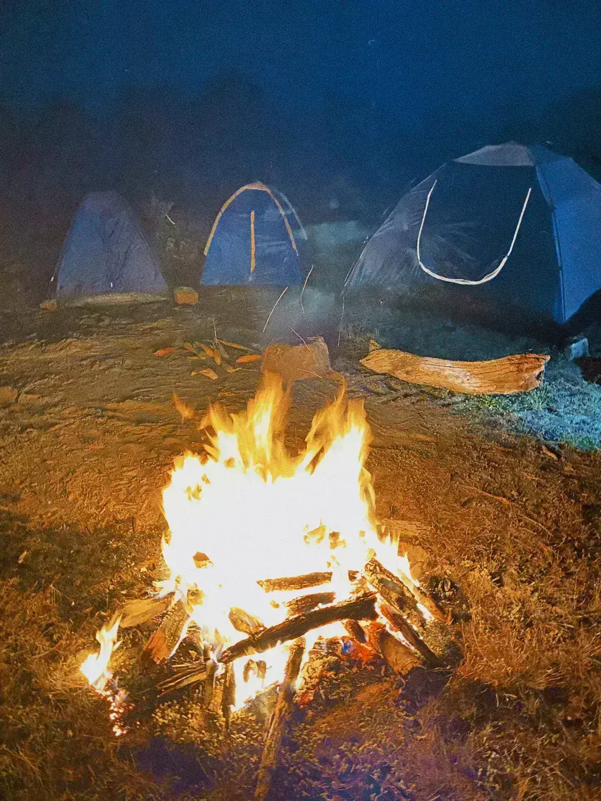 Avatar of Camping RP