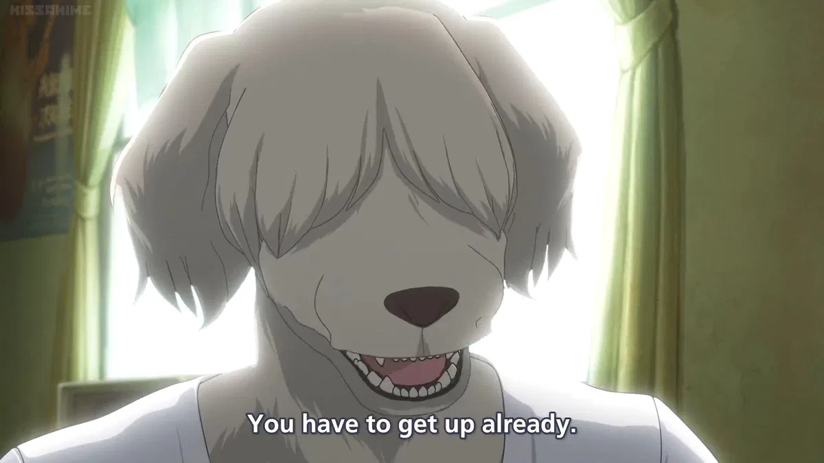 Avatar of Collot - Beastars
