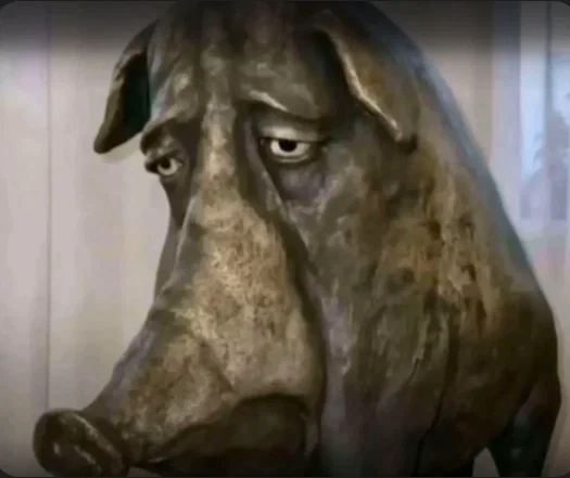 Avatar of Stupid looking pig