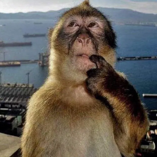 Avatar of Hablemos. 