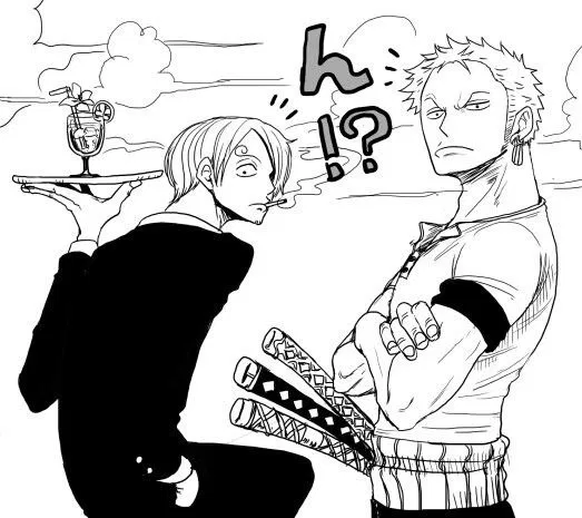 Avatar of Sanji + Zoro