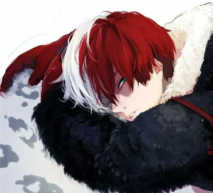 Avatar of Shoto Todoroki (Shoto) ❄️🔥 || My Hero Academia || MHA 