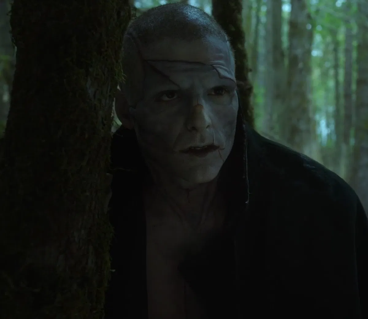 Avatar of Adam Frankenstein