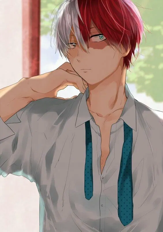 Avatar of Shoto Todoroki 🔥❄️