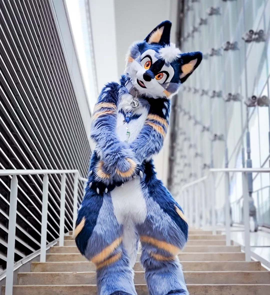 Avatar of Furry Max
