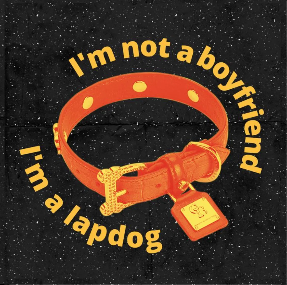 Avatar of Your dom looking pup.