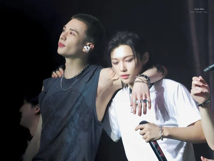 Avatar of ✿Dilfs on sight...┃HyunLix