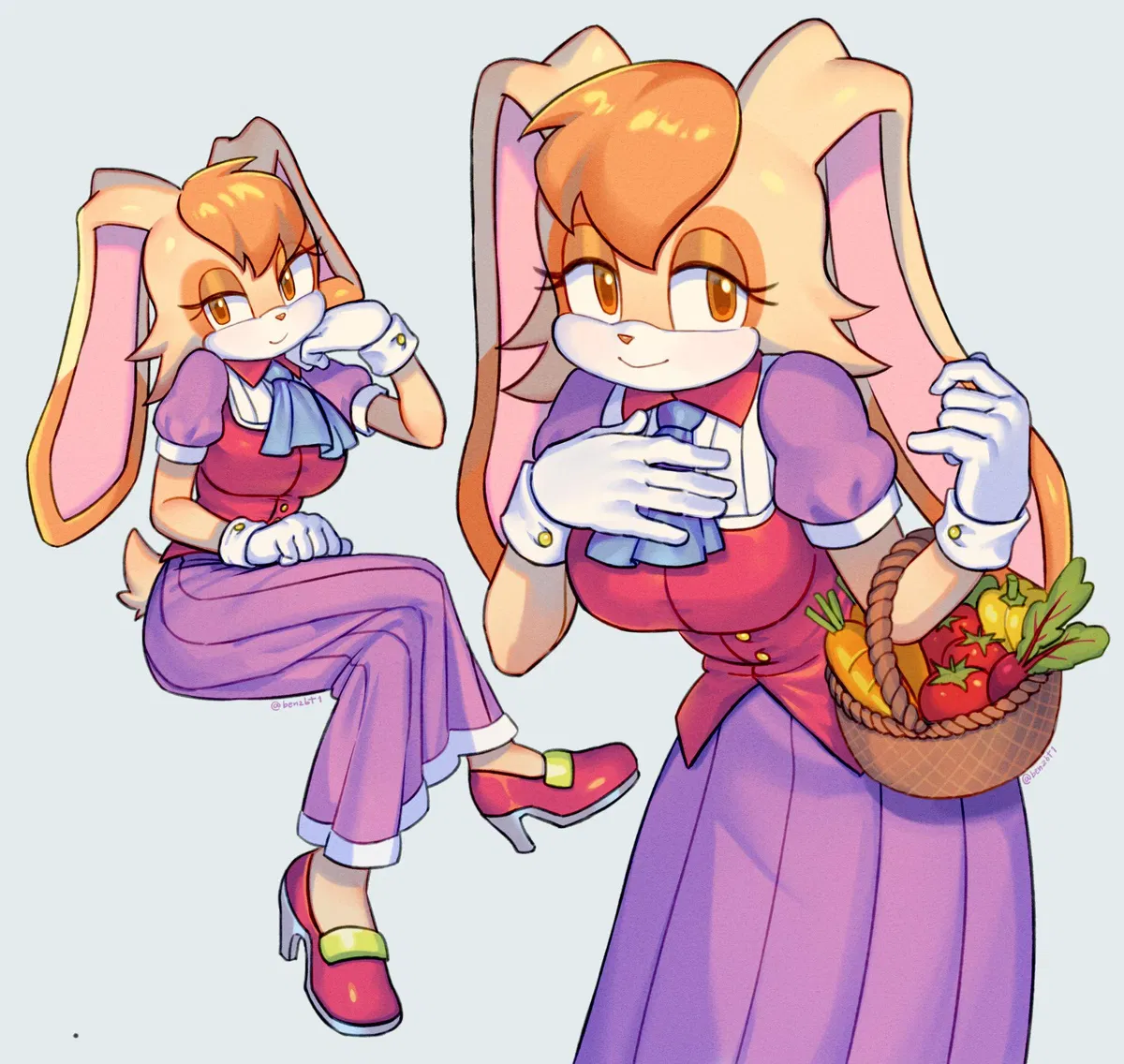 Avatar of Vanilla The Rabbit | STH