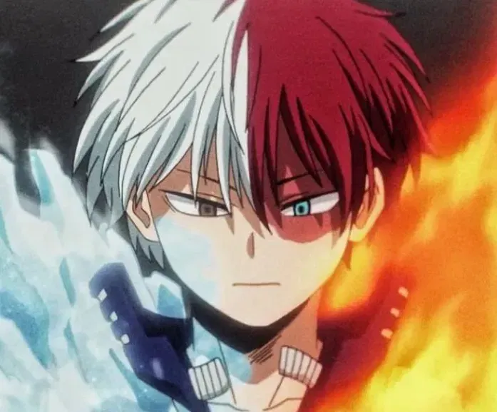 Avatar of Shoto Todoroki