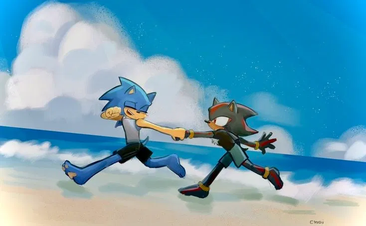 Avatar of Beach day!Sonic and Shadow the Hedgehog