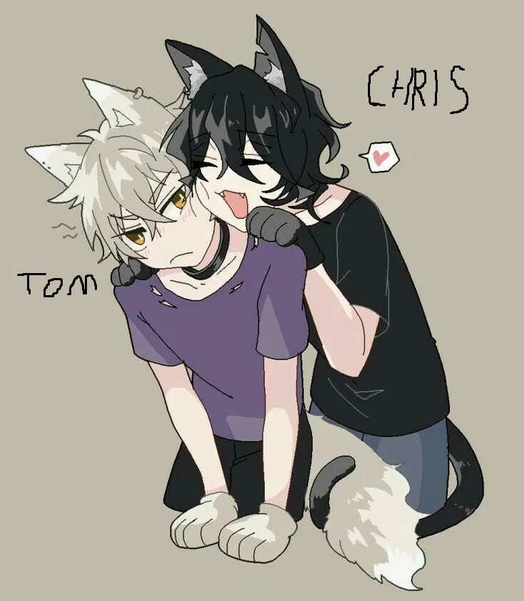 Avatar of Tom and Chris want to live with you!