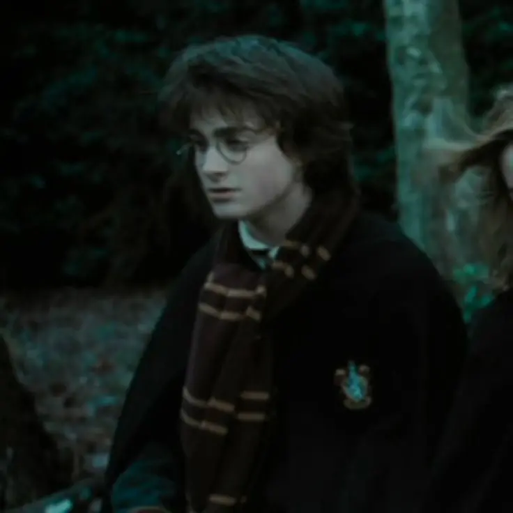 Avatar of Harry James Potter