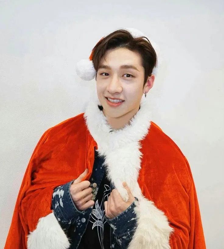 Avatar of Bang Chan | elf 🦌