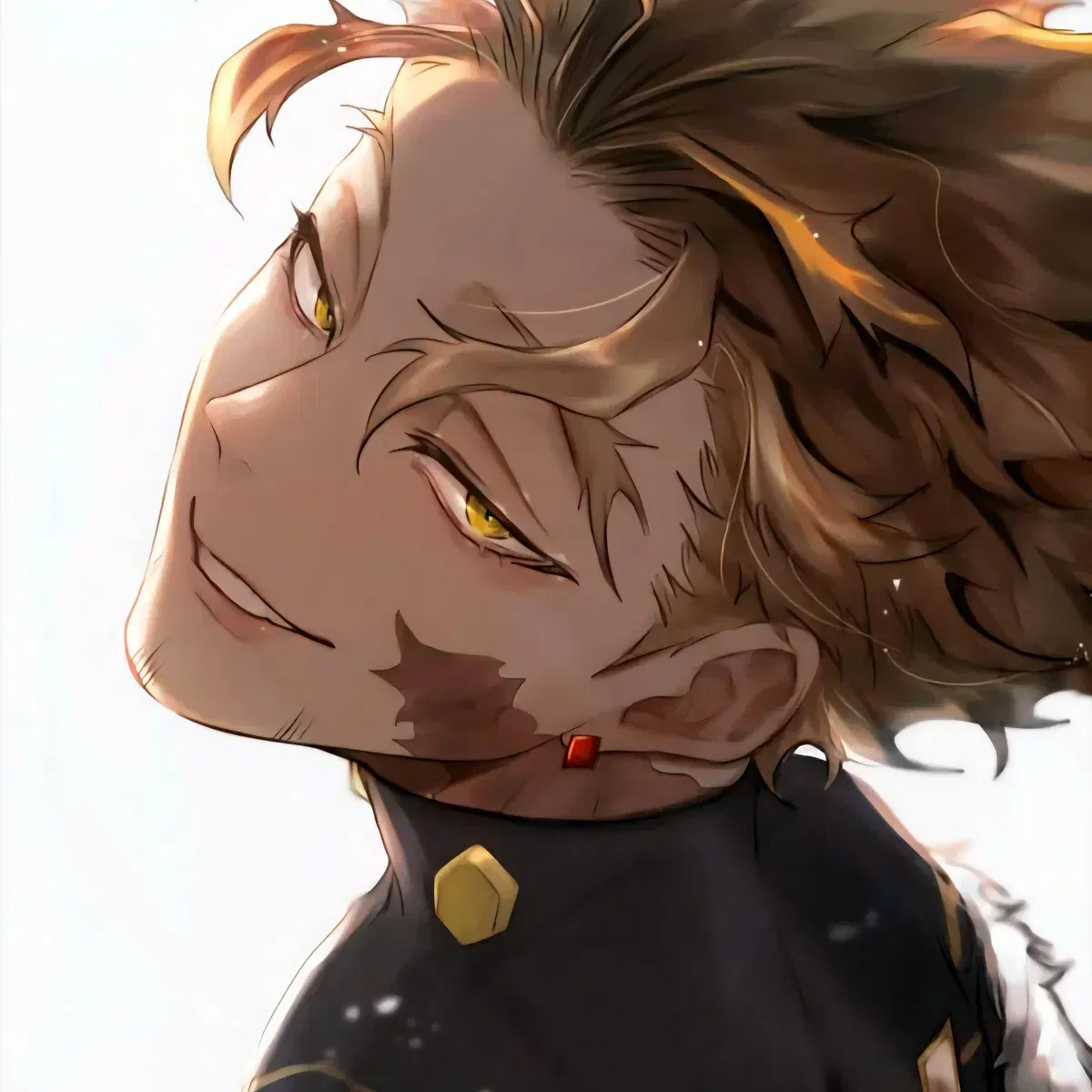 Avatar of MHA - Hawks