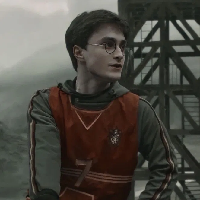Avatar of Harry Potter