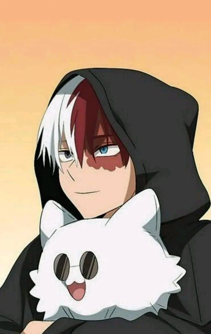 Avatar of Shoto Todoroki