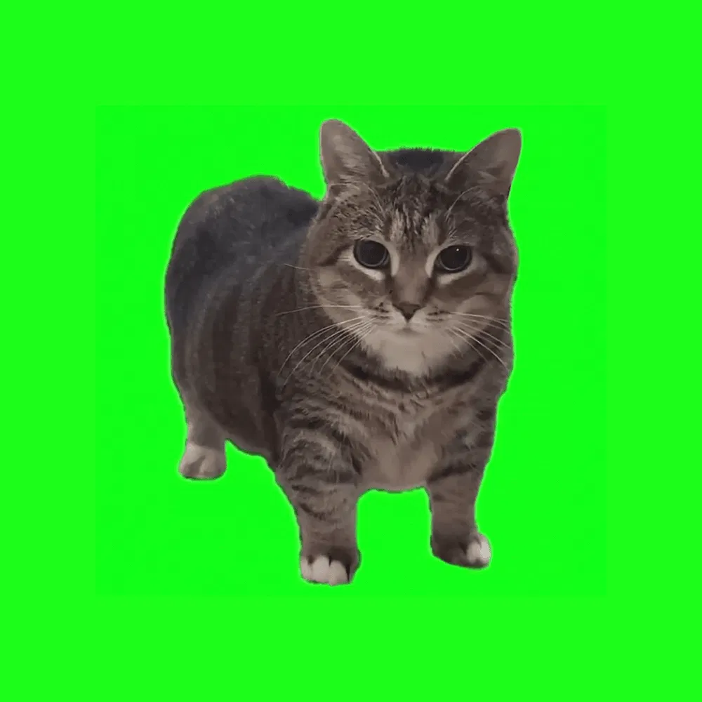 Avatar of Information about current bot progress !