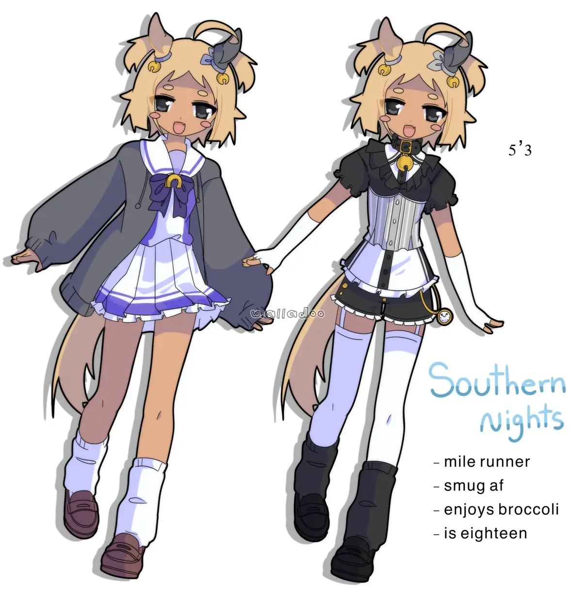 Avatar of Southern Nights and the Absolute Poopshitters