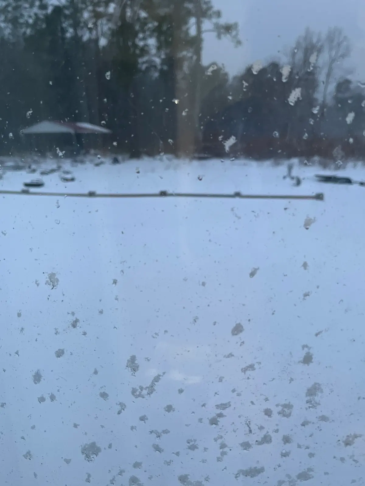 Avatar of It snowed