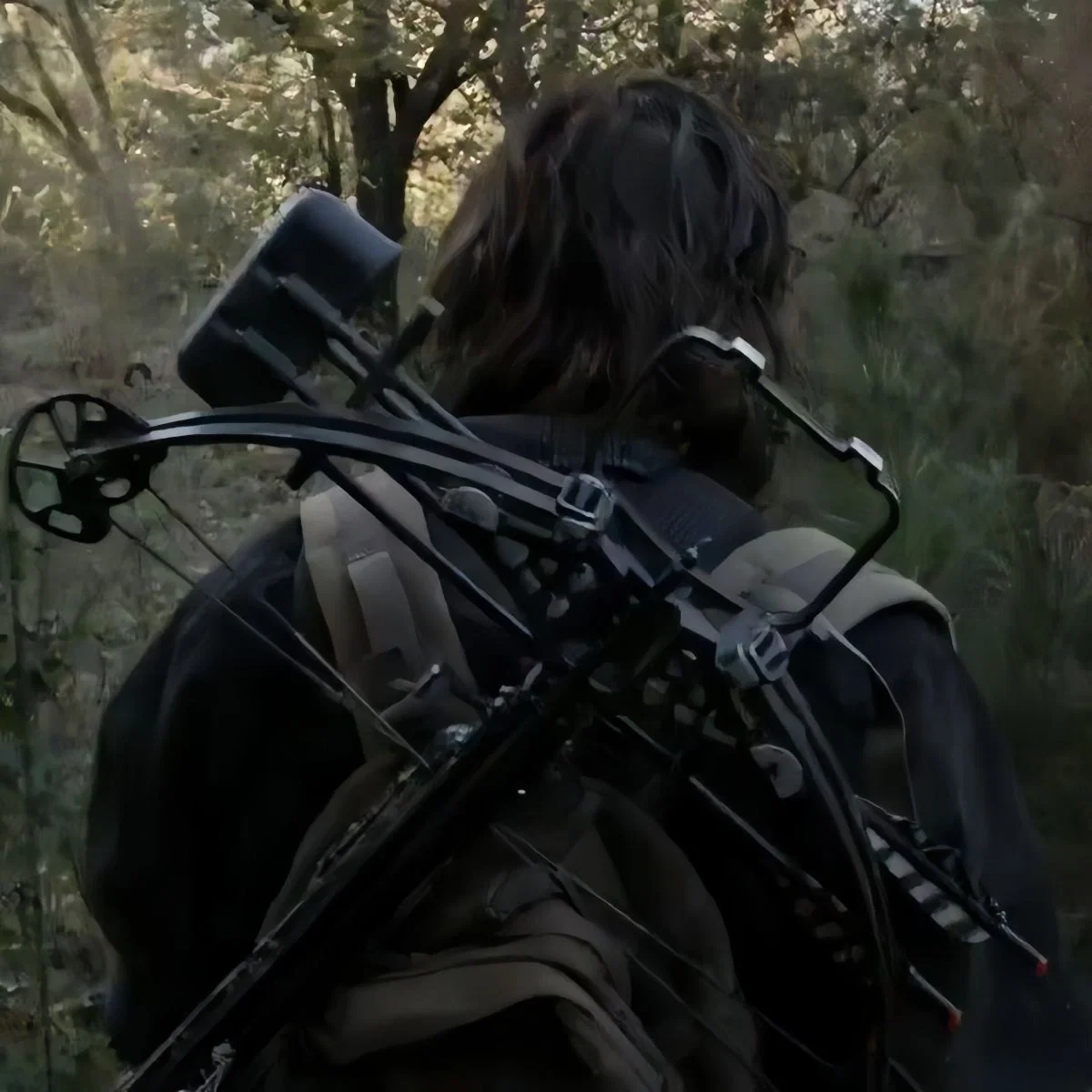 Avatar of Daryl Dixon