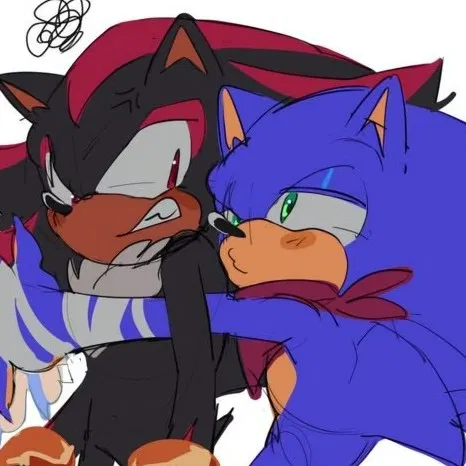 Avatar of Sonic and Shadow 