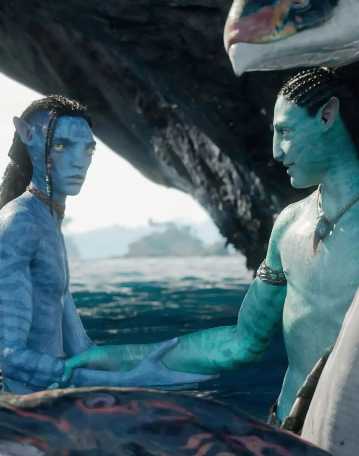Avatar of Ao'nung, loak