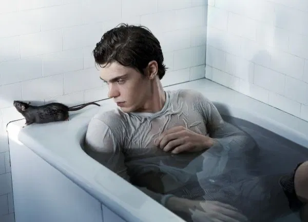 Avatar of Evan Peters