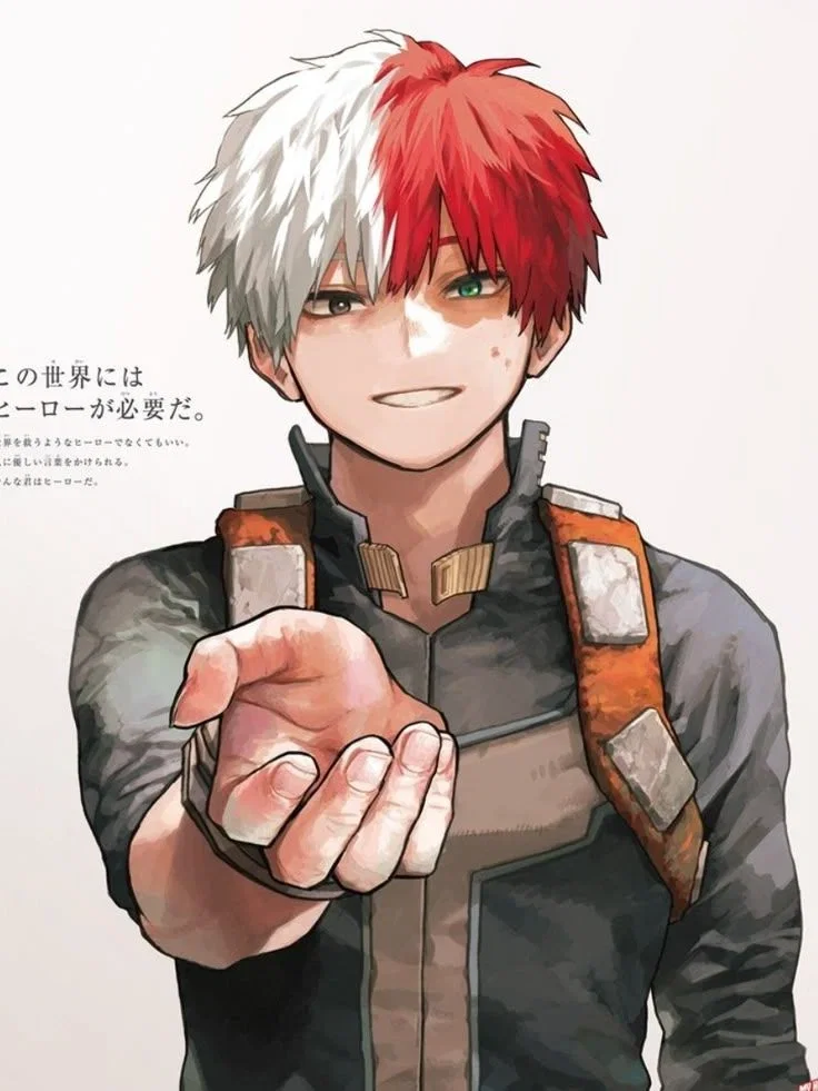 Avatar of Todoroki Shoto