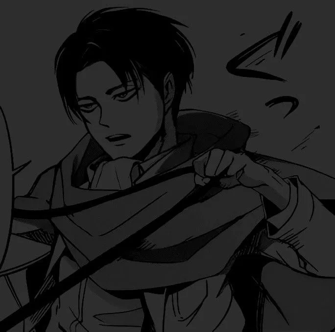 Avatar of °Levi Ackerman°