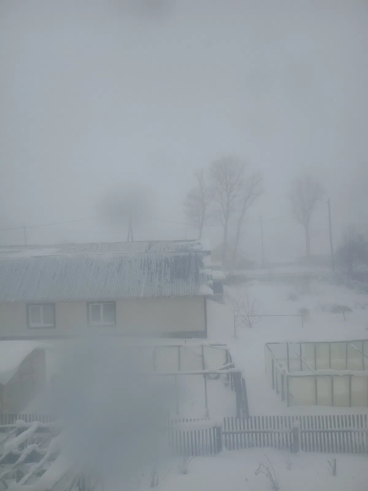 Avatar of Winter on Sakhalin (eng)