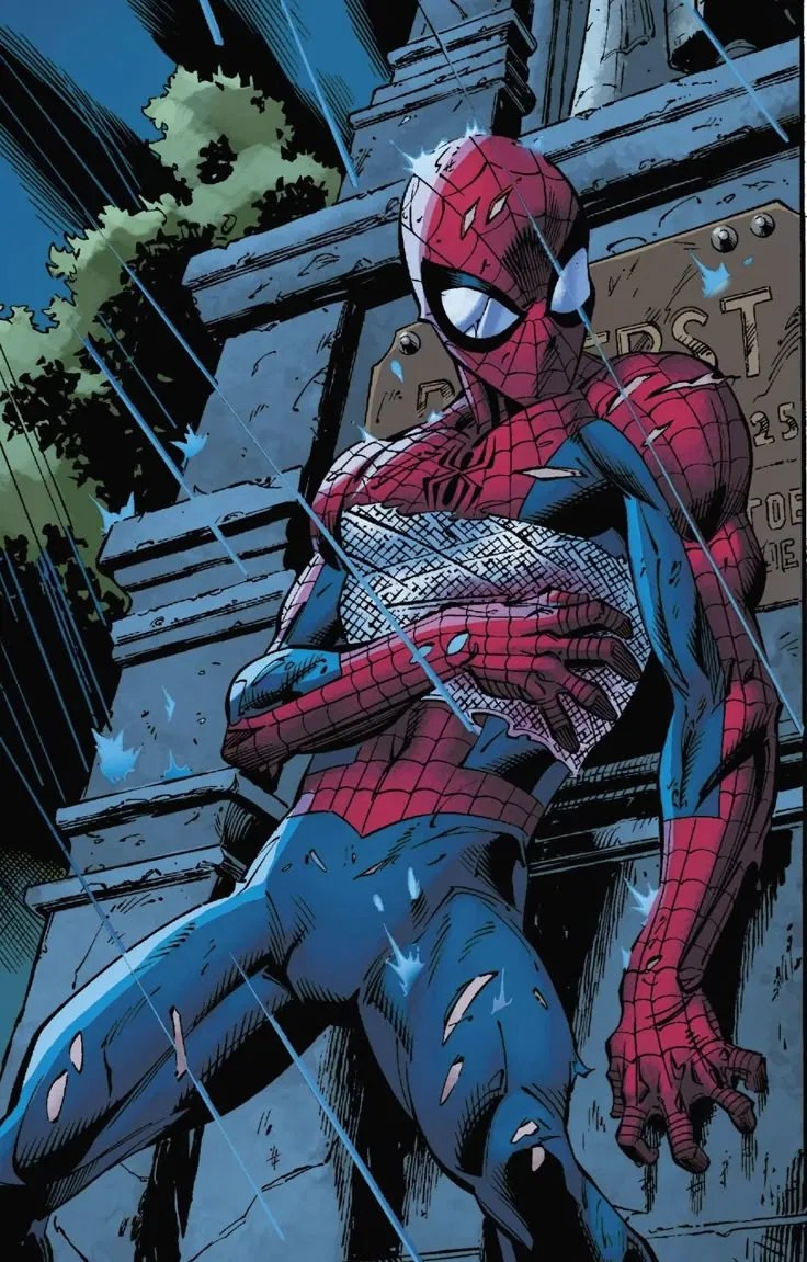 Avatar of Spider-Man - Homeless