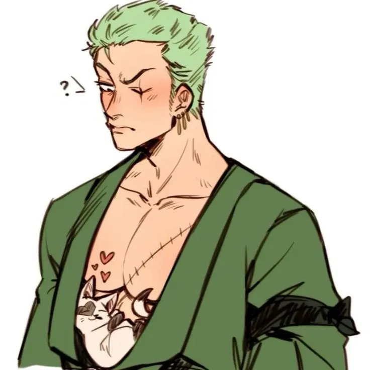 Avatar of Roronoa Zoro / One Piece 