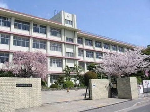 Avatar of New school 