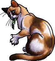 Avatar of AVoS~ Puddleshine