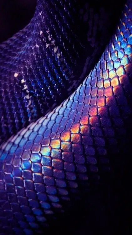 Avatar of DEVOTED Hybrid Snake