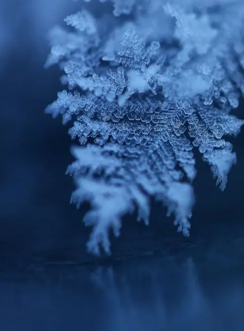 Avatar of Snowfall