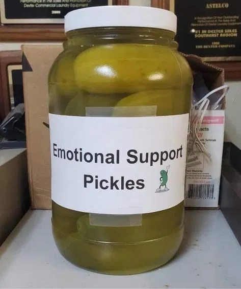Avatar of Pickles