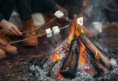 Avatar of Campfire with friends
