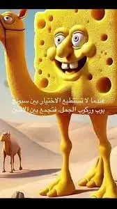 Avatar of Camel Bob