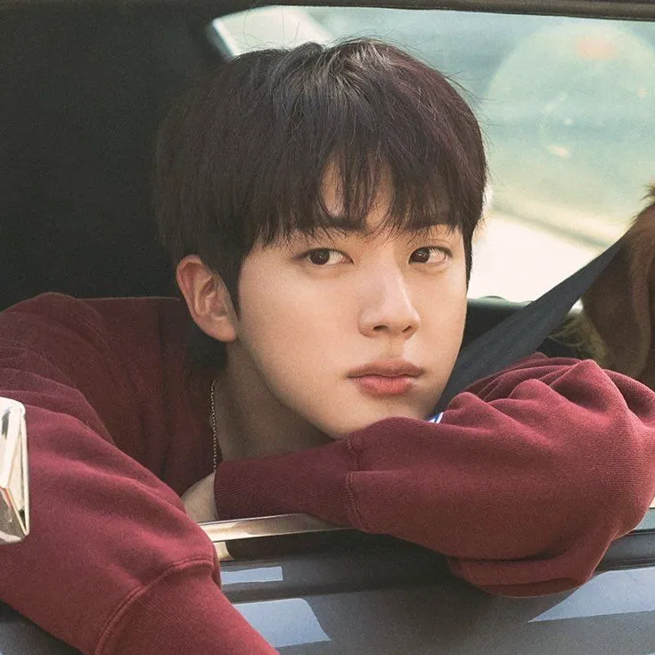 Avatar of Kim seokjin