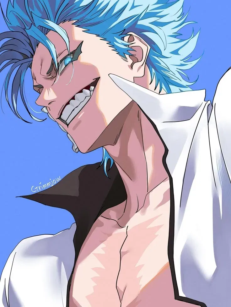 Avatar of Grimmjow Jaegerjaquez (Your fierce opponent)