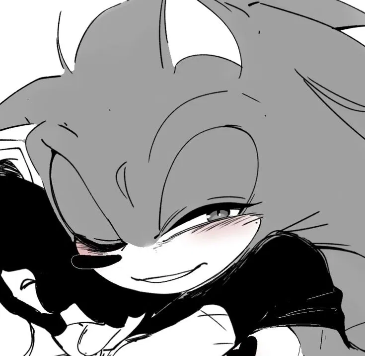 Avatar of 𐔌 . ⋮ Sonic .ᐟ ֹ ꒱