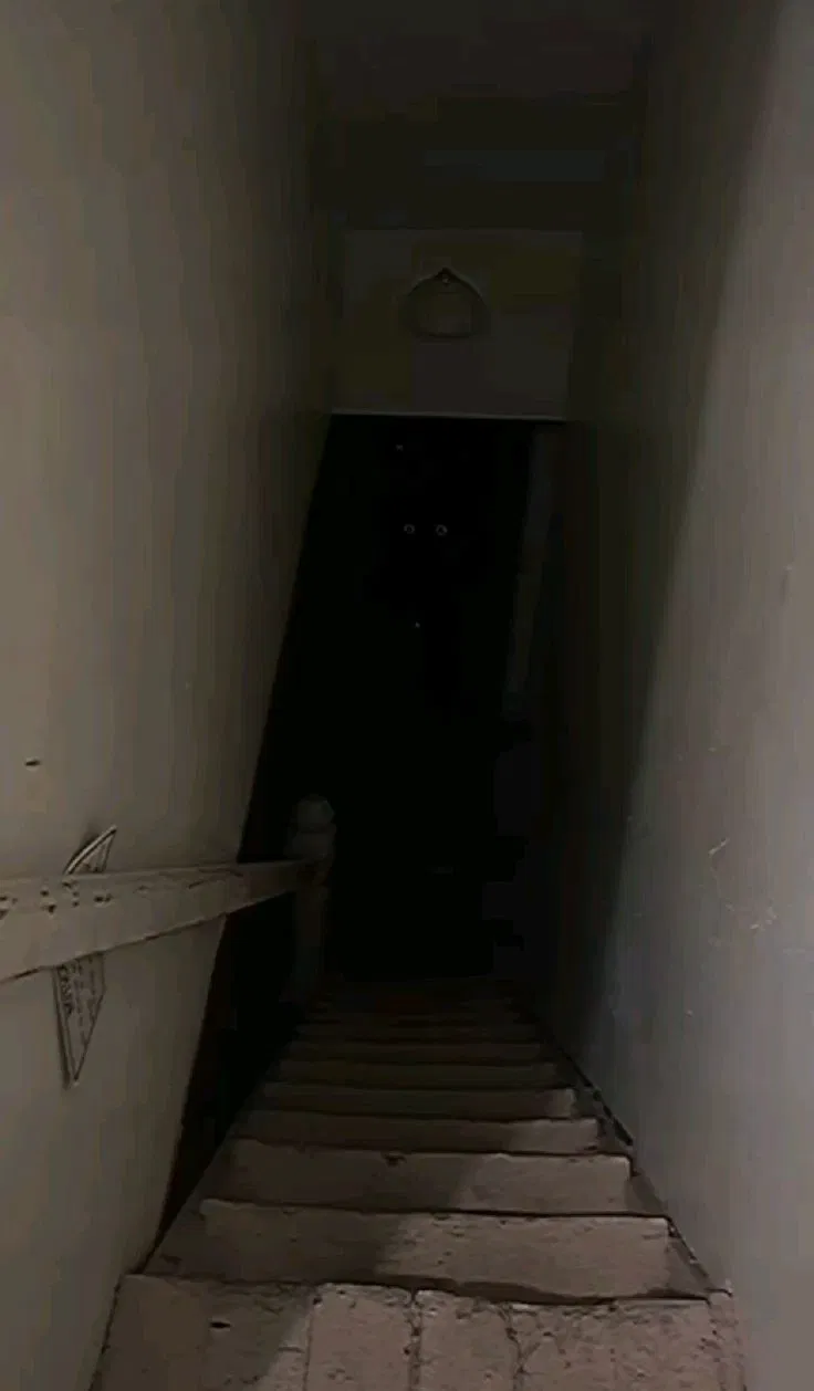 Avatar of Something in the basement 