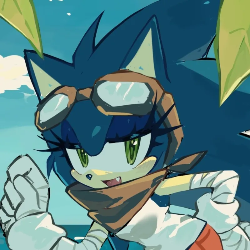 Avatar of Sonica the hedgehog