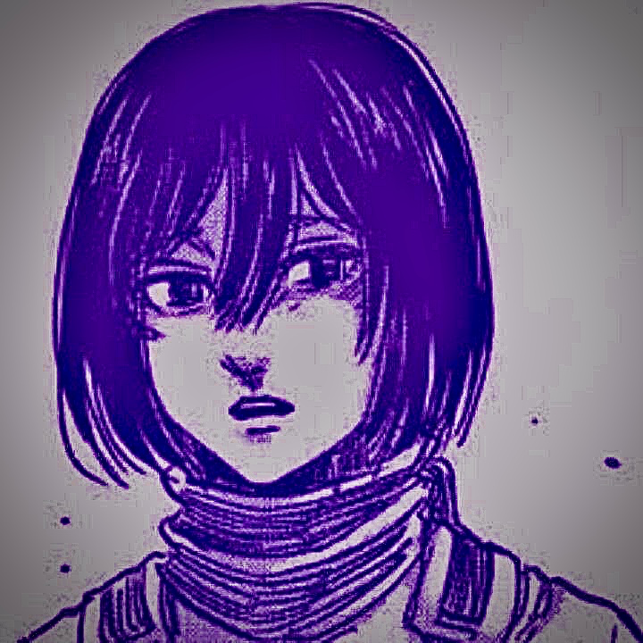 Avatar of Mikasa Ackerman