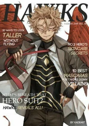 Avatar of Interview with Hawks