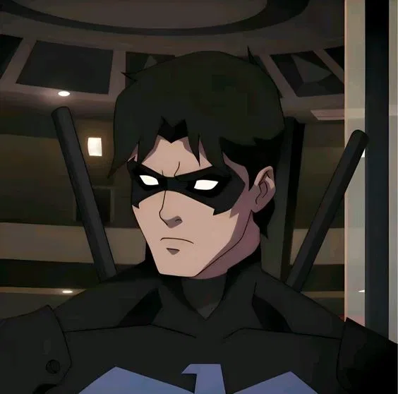 Avatar of 🪢> NIGHTWING .
