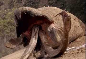 Avatar of Tremors - Graboid 